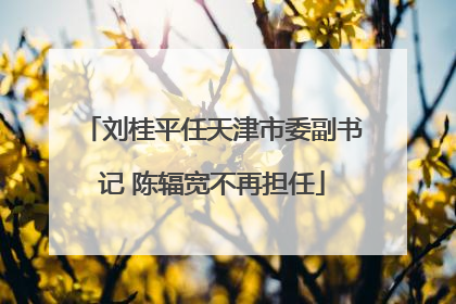 刘桂平任天津市委副书记 陈辐宽不再担任
