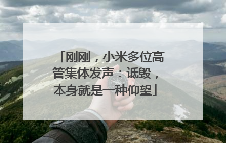 刚刚，小米多位高管集体发声：诋毁，本身就是一种仰望
