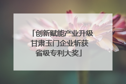创新赋能产业升级 甘肃玉门企业斩获省级专利大奖