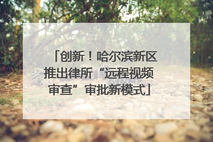 创新！哈尔滨新区推出律所“远程视频审查”审批新模式