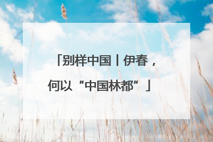 别样中国丨伊春，何以“中国林都”