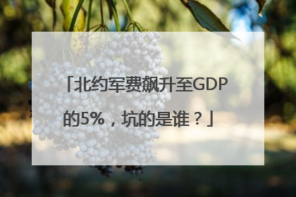 北约军费飙升至GDP的5%，坑的是谁？