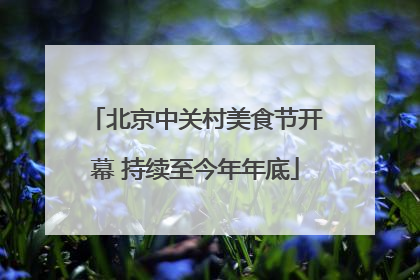 北京中关村美食节开幕 持续至今年年底