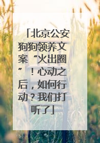 北京公安狗狗领养文案“火出圈”！心动之后，如何行动？我们打听了