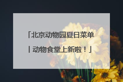北京动物园夏日菜单丨动物食堂上新啦！