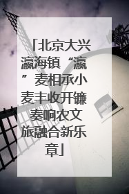 北京大兴瀛海镇“瀛”麦相承小麦丰收开镰 奏响农文旅融合新乐章