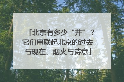 北京有多少“井”？它们串联起北京的过去与现在、烟火与诗意