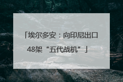 埃尔多安：向印尼出口48架“五代战机”