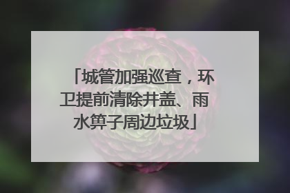 城管加强巡查，环卫提前清除井盖、雨水箅子周边垃圾