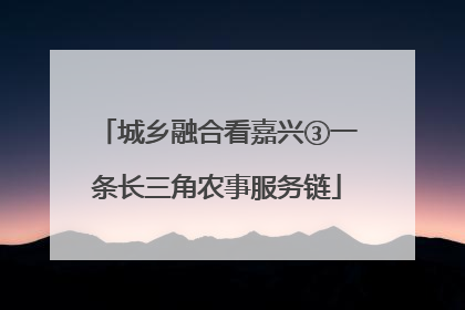 城乡融合看嘉兴③一条长三角农事服务链