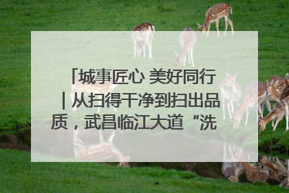 城事匠心 美好同行｜从扫得干净到扫出品质，武昌临江大道“洗”出洁净样板路