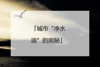 城市“净水器”的奥秘