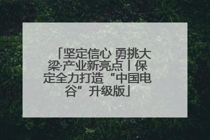坚定信心 勇挑大梁·产业新亮点丨保定全力打造“中国电谷”升级版