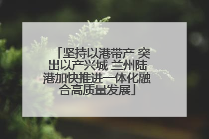 坚持以港带产 突出以产兴城 兰州陆港加快推进一体化融合高质量发展