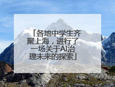 各地中学生齐聚上海，进行了一场关于AI治理未来的探索