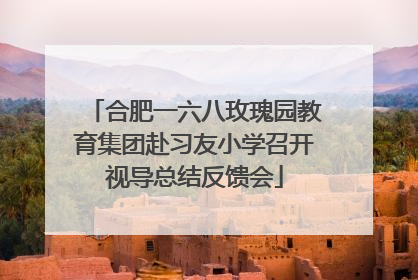 合肥一六八玫瑰园教育集团赴习友小学召开视导总结反馈会