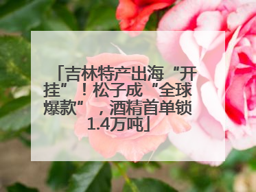 吉林特产出海“开挂”！松子成“全球爆款”，酒精首单锁1.4万吨