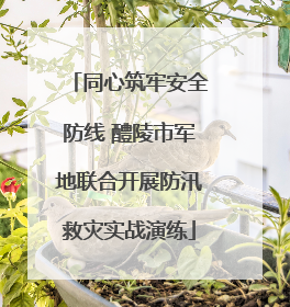 同心筑牢安全防线 醴陵市军地联合开展防汛救灾实战演练