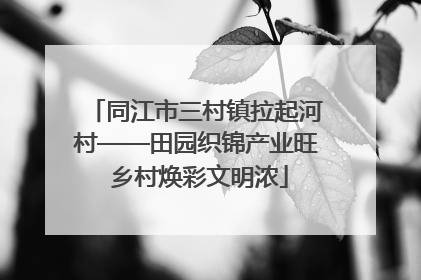 同江市三村镇拉起河村——田园织锦产业旺 乡村焕彩文明浓
