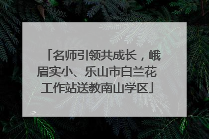 名师引领共成长，峨眉实小、乐山市白兰花工作站送教南山学区