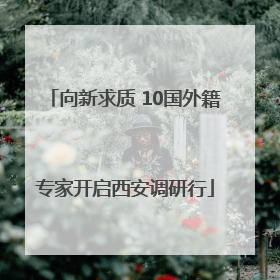 向新求质 10国外籍专家开启西安调研行
