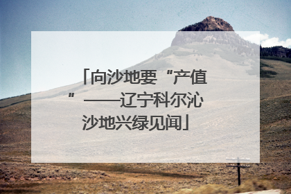 向沙地要“产值”——辽宁科尔沁沙地兴绿见闻