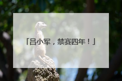 吕小军，禁赛四年！