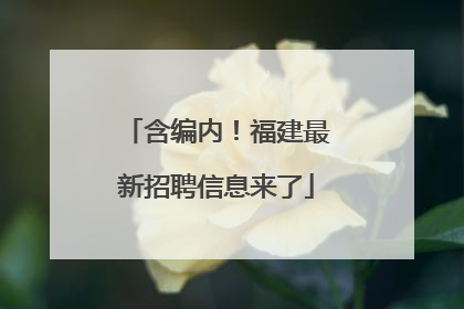 含编内！福建最新招聘信息来了
