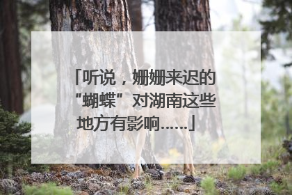 听说，姗姗来迟的“蝴蝶”对湖南这些地方有影响……
