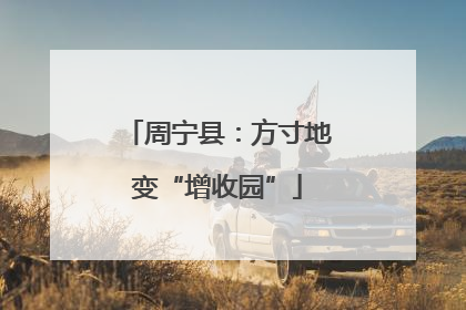 周宁县：方寸地变“增收园”