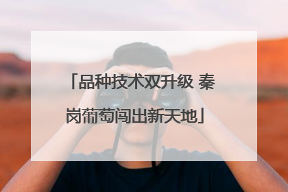 品种技术双升级 秦岗葡萄闯出新天地