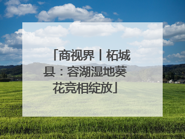 商视界丨柘城县：容湖湿地葵花竞相绽放