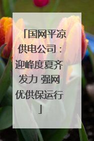 国网平凉供电公司：迎峰度夏齐发力 强网优供保运行