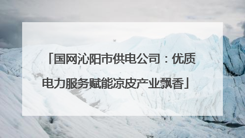国网沁阳市供电公司：优质电力服务赋能凉皮产业飘香