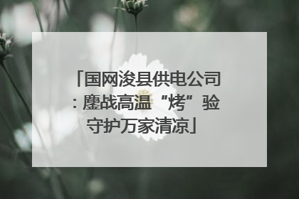 国网浚县供电公司：鏖战高温“烤”验 守护万家清凉