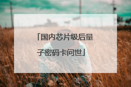 国内芯片级后量子密码卡问世