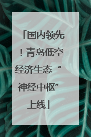 国内领先！青岛低空经济生态“神经中枢”上线