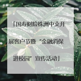 国寿财险株洲中支开展客户节暨“金融消保进校园”宣传活动