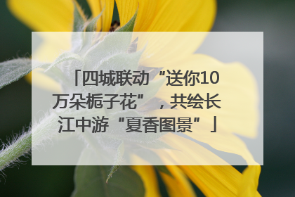 四城联动“送你10万朵栀子花”，共绘长江中游“夏香图景”