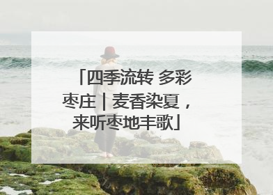 四季流转 多彩枣庄｜麦香染夏，来听枣地丰歌