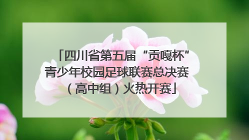 四川省第五届“贡嘎杯”青少年校园足球联赛总决赛（高中组）火热开赛