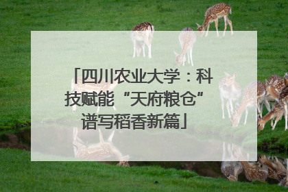 四川农业大学：科技赋能“天府粮仓”谱写稻香新篇
