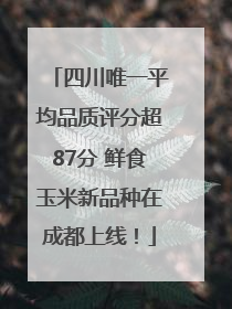 四川唯一平均品质评分超87分 鲜食玉米新品种在成都上线！
