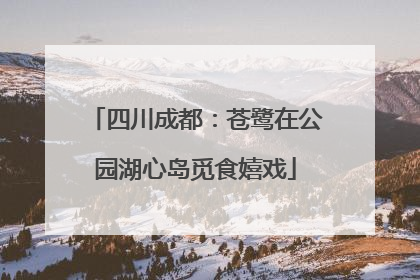四川成都：苍鹭在公园湖心岛觅食嬉戏