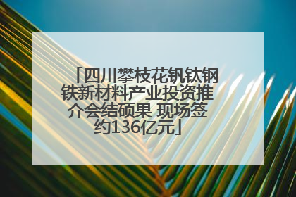 四川攀枝花钒钛钢铁新材料产业投资推介会结硕果 现场签约136亿元