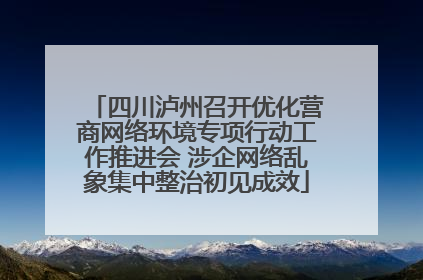 四川泸州召开优化营商网络环境专项行动工作推进会 涉企网络乱象集中整治初见成效