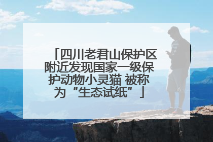 四川老君山保护区附近发现国家一级保护动物小灵猫 被称为“生态试纸”
