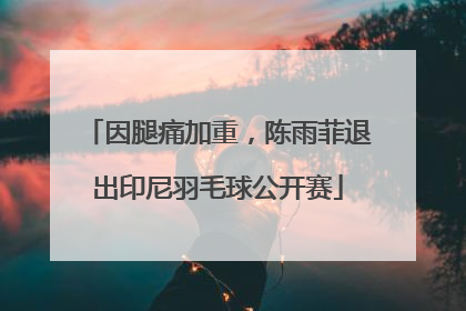 因腿痛加重，陈雨菲退出印尼羽毛球公开赛