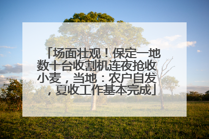 场面壮观！保定一地数十台收割机连夜抢收小麦，当地：农户自发，夏收工作基本完成