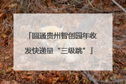 圆通贵州智创园年收发快递量“三级跳”